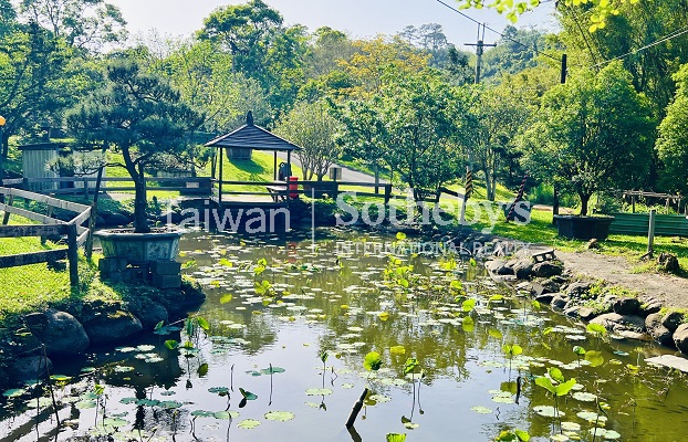 晴嶼之丘 Sunny Isle Estate現場實景