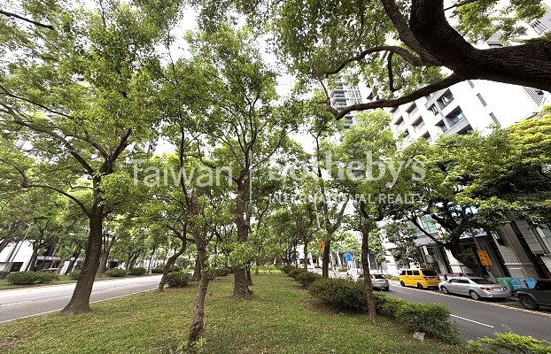 敦南富邦藝樹面樹海周邊環境